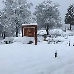 Arvo Sila Лорика