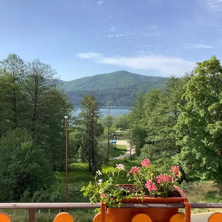 Arvo Sila