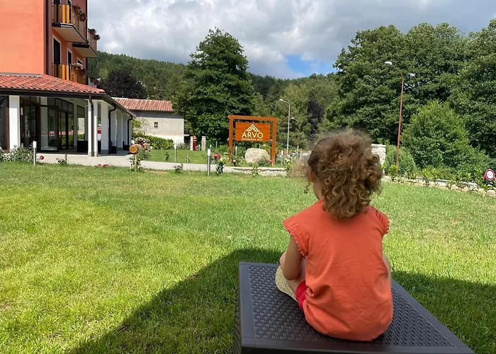 Arvo Sila לוריקה